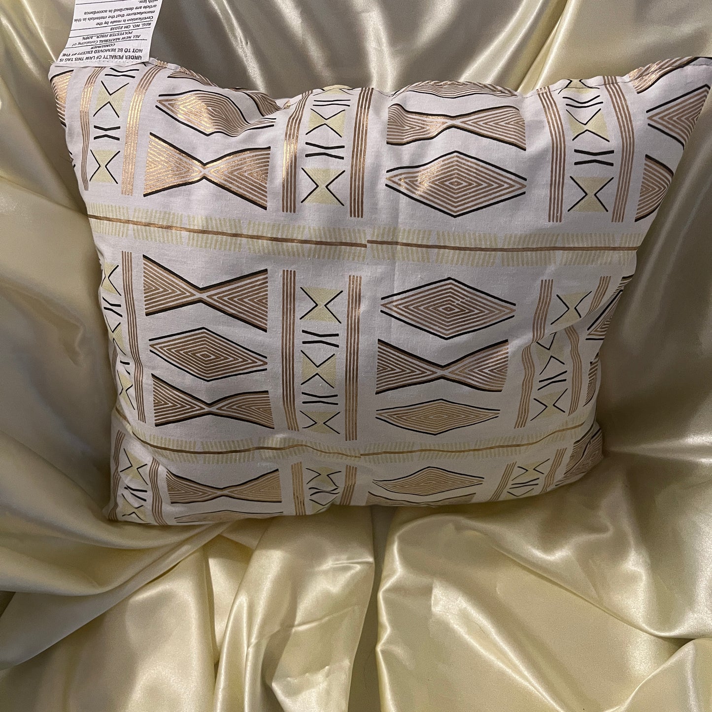 Alluring African Print Set of 2 Throw Pillows